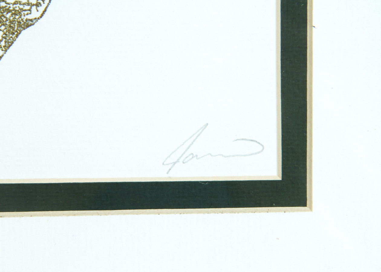 Two Prints of Butterflies and Birds