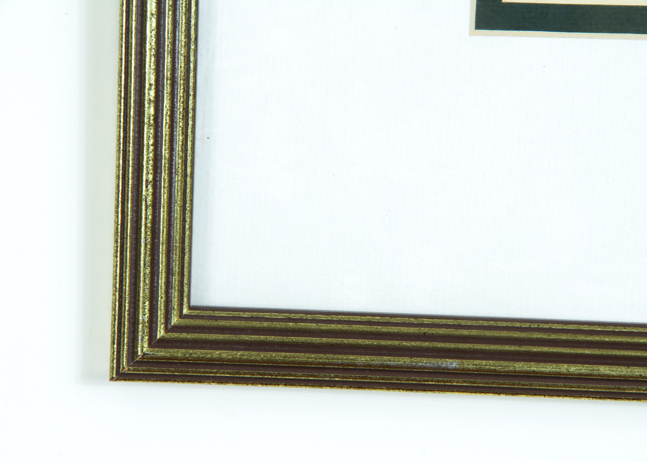 Two Prints of Butterflies and Birds