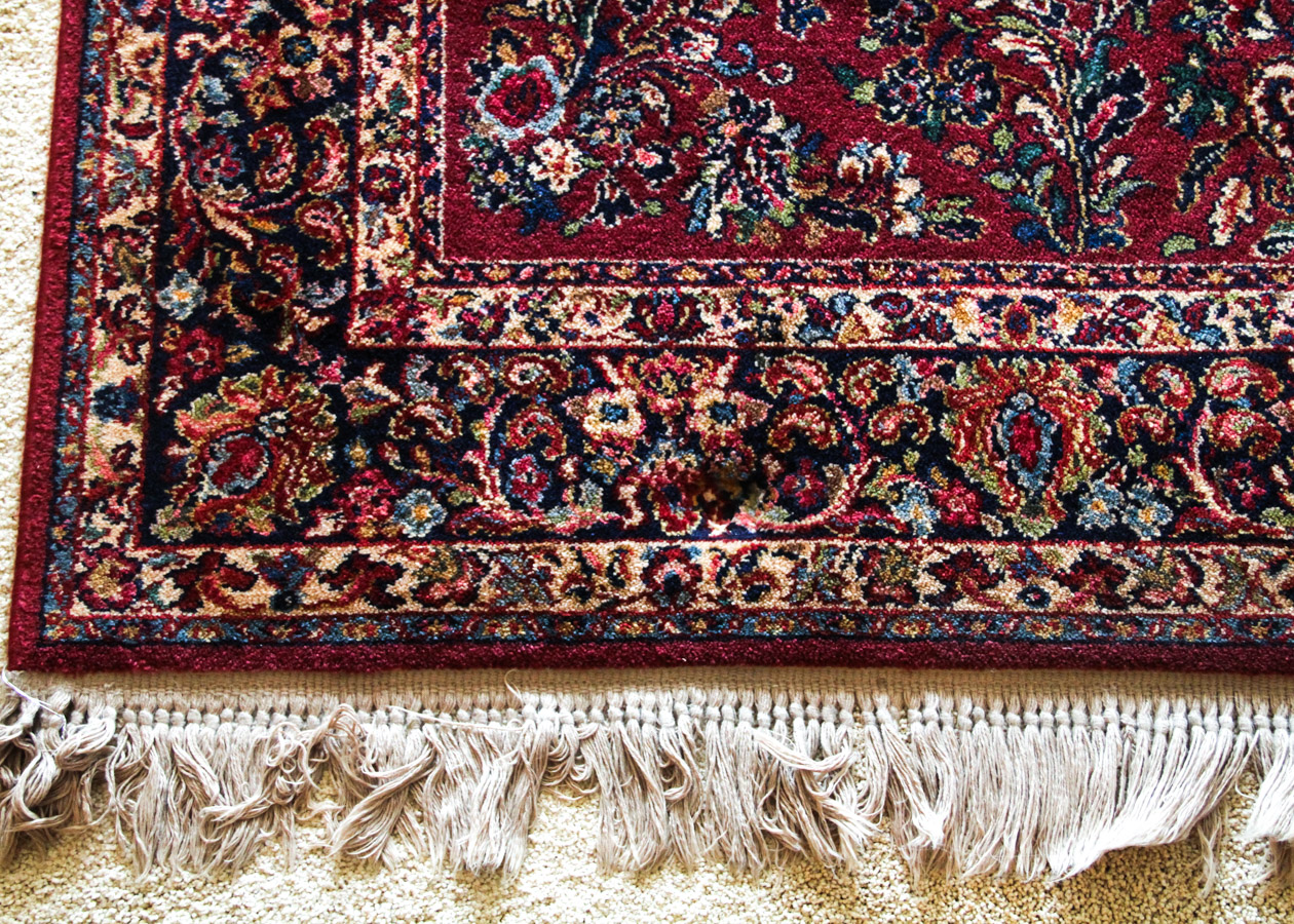 Persian Style Rug