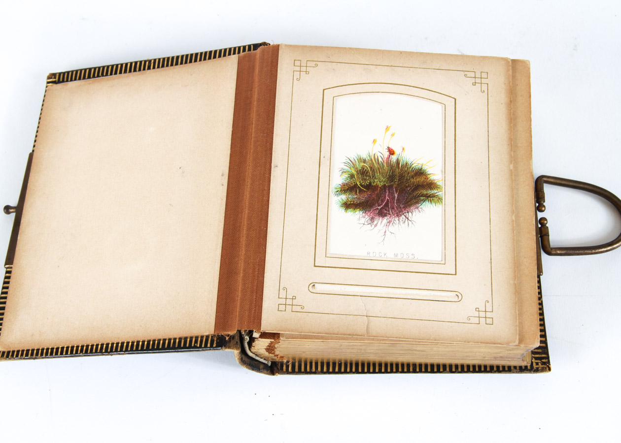 Pair of Vintage Books