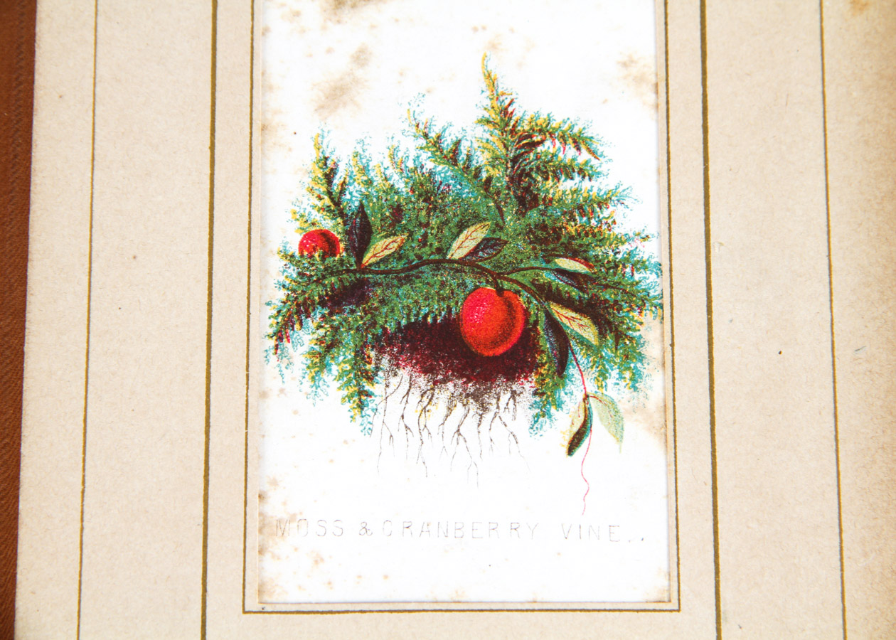 Pair of Vintage Books