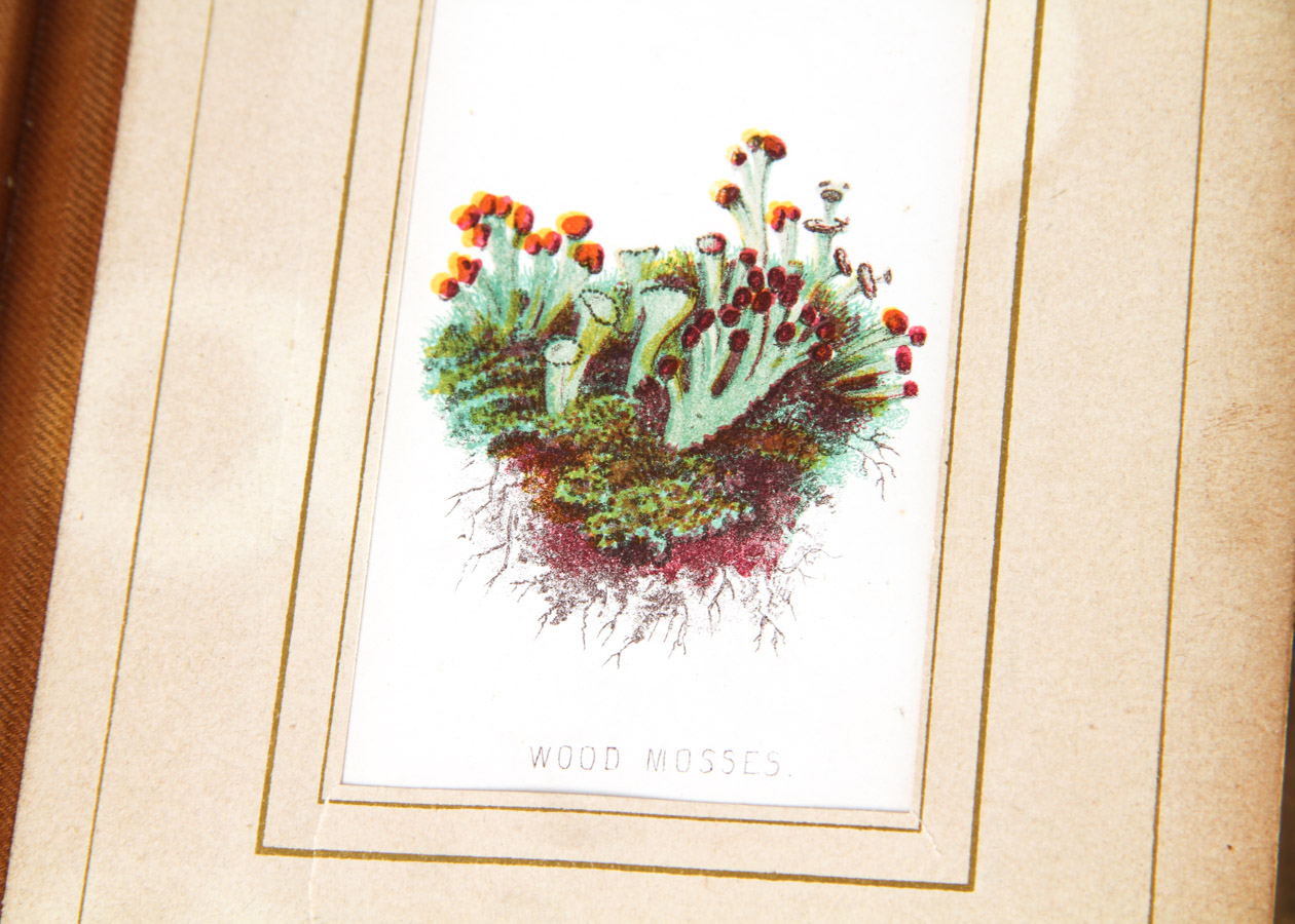 Pair of Vintage Books