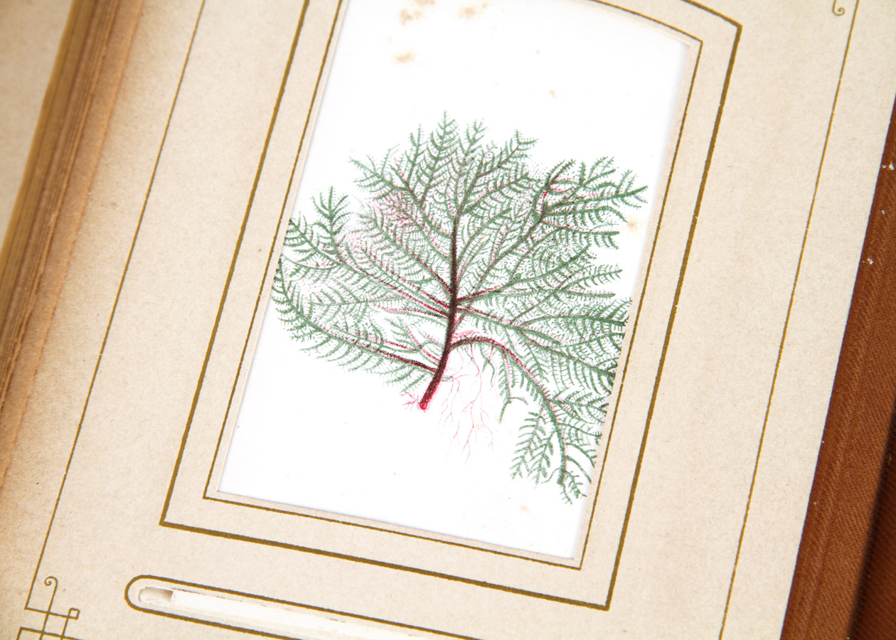 Pair of Vintage Books