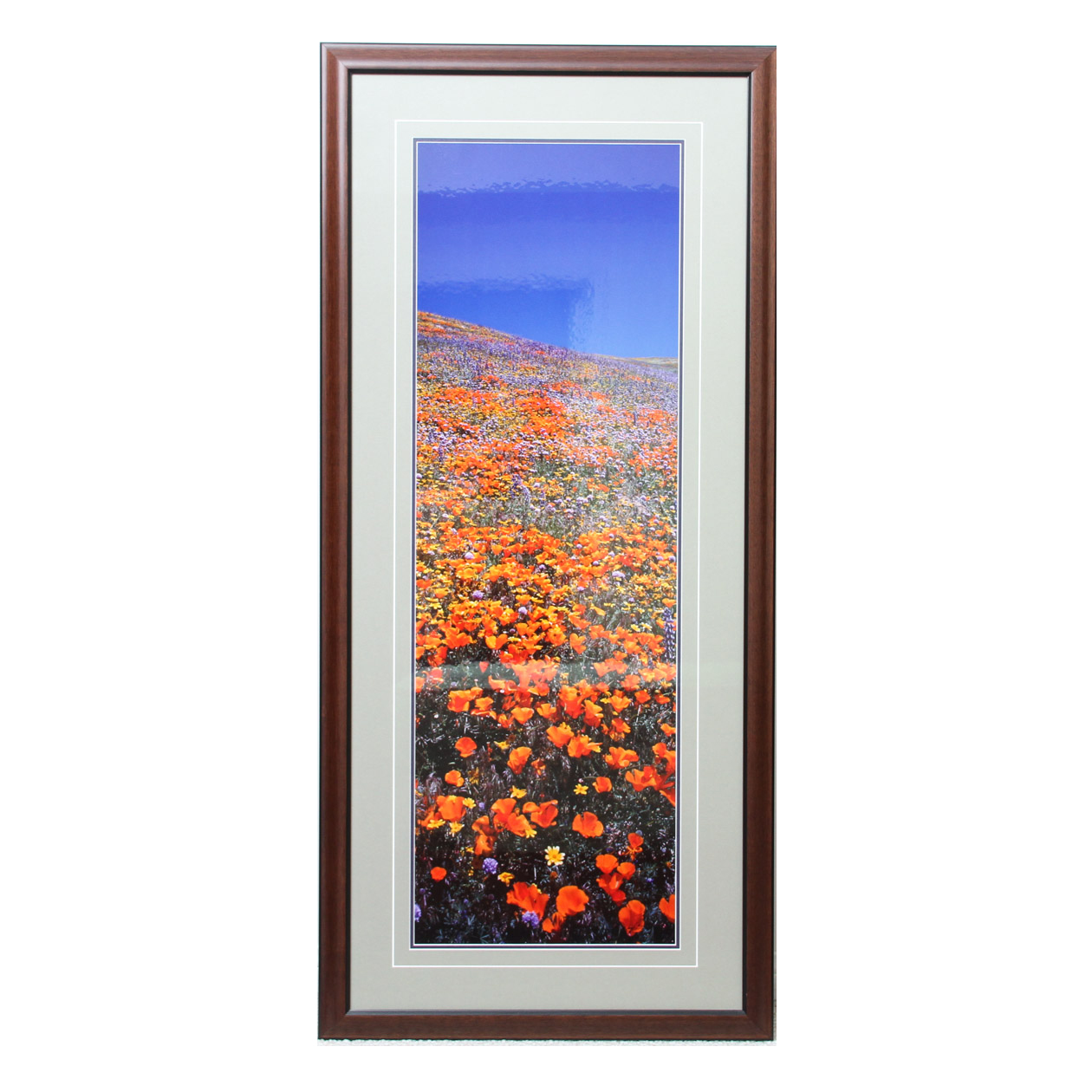 Signed Photograph by Thomas D. Mangelsen