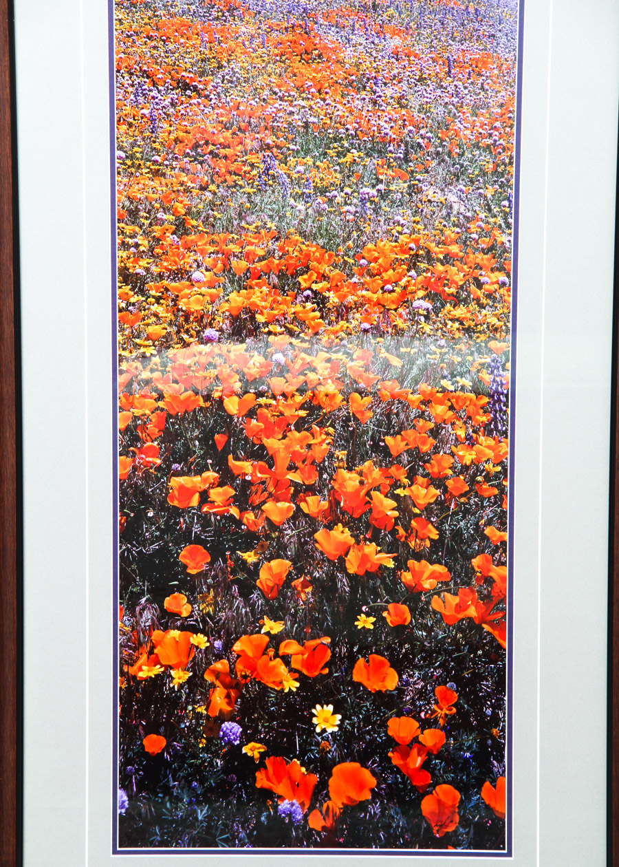 Signed Photograph by Thomas D. Mangelsen