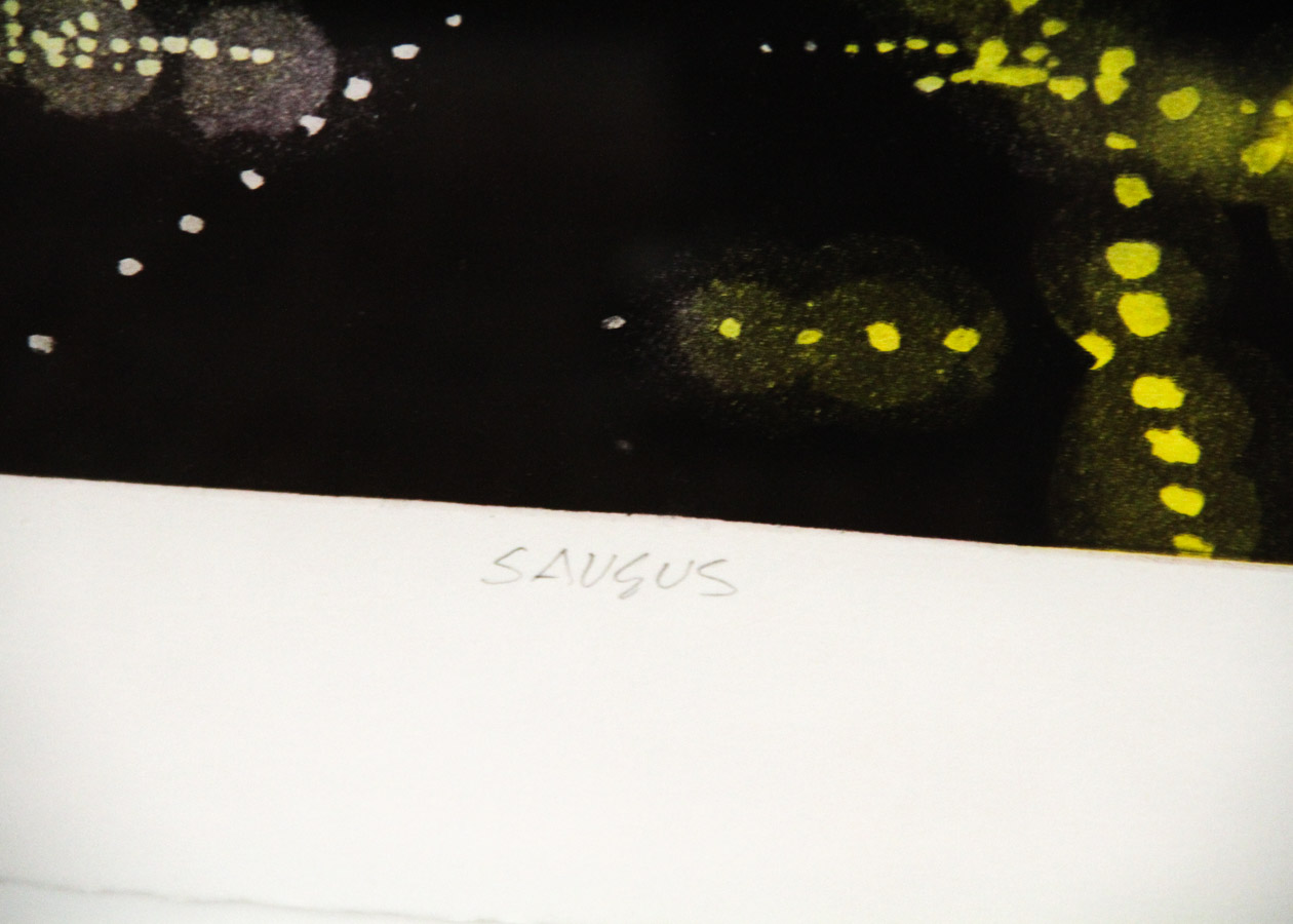 Peter Alexander "Saugus" Artist's Proof Etching