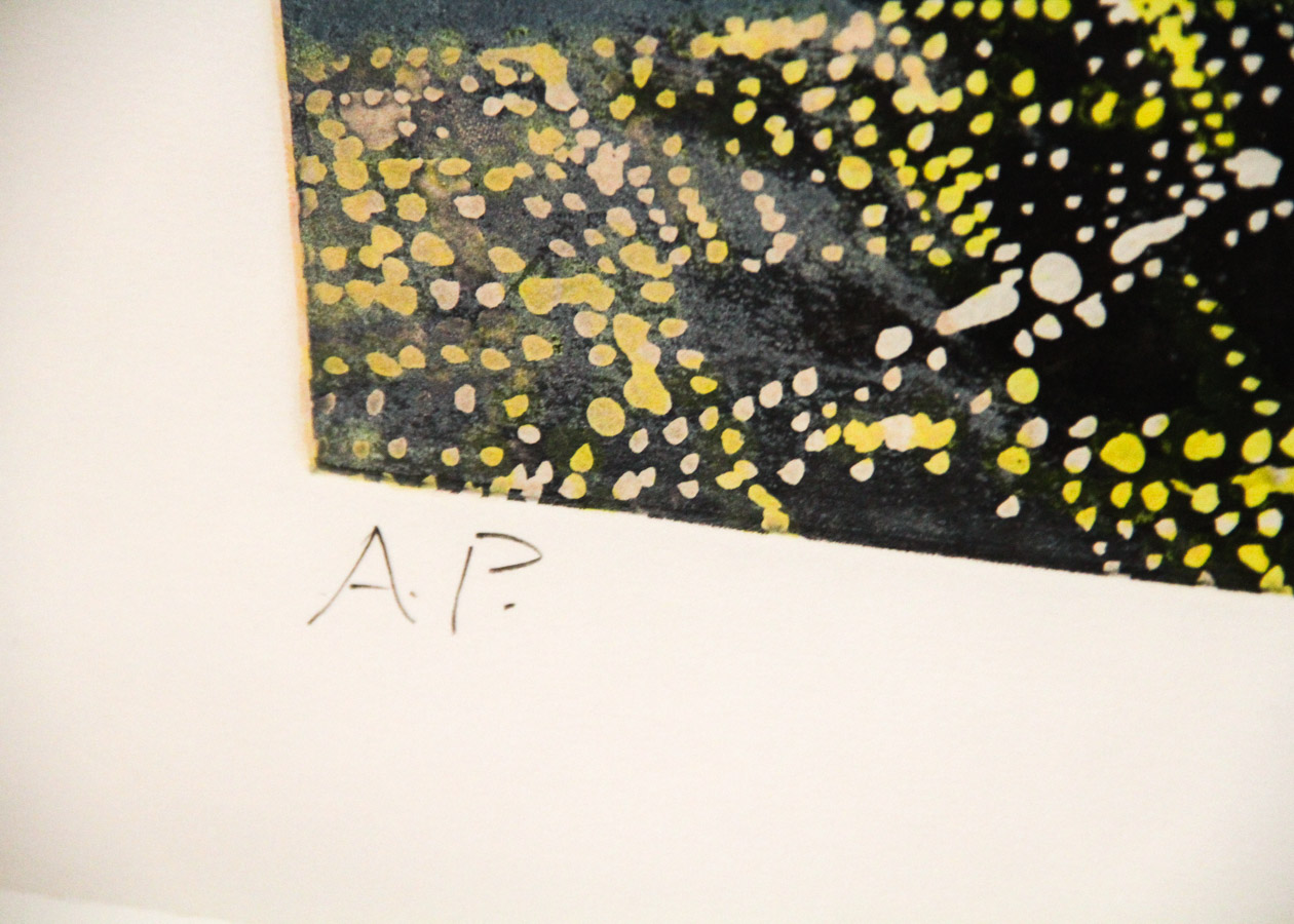 Peter Alexander Color Etching "Cloudfield"