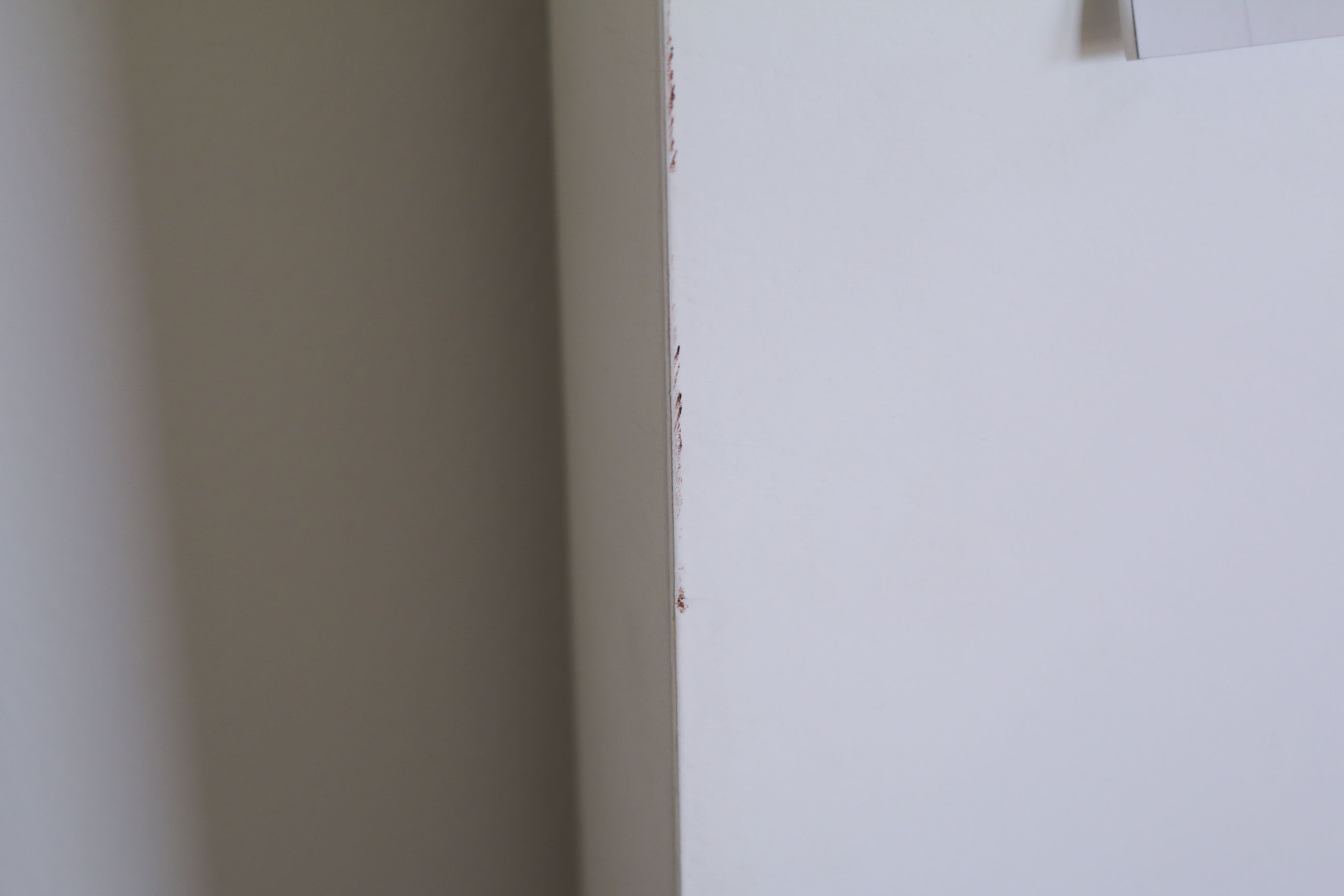 Modernist Style Queen Size Bed Frame From Cantoni