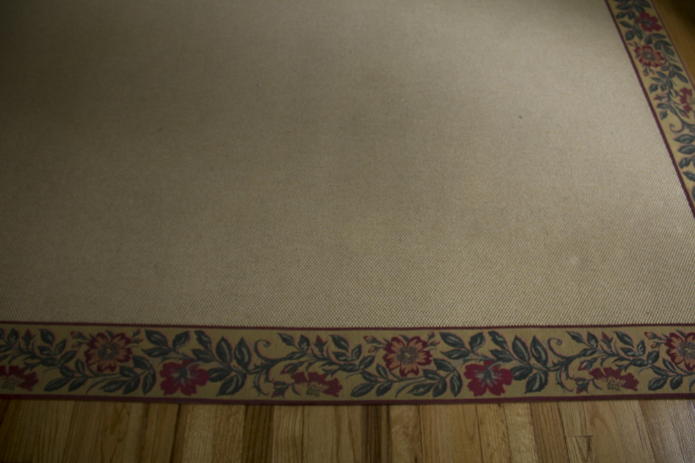 Area Rug With Embroiderd Floral Border