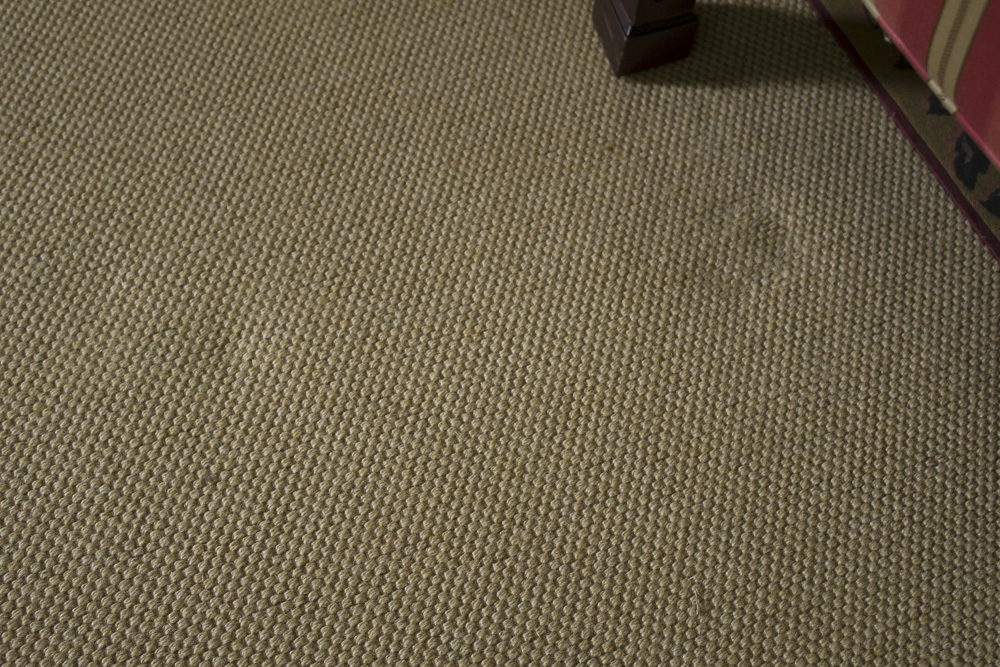 Area Rug With Embroiderd Floral Border