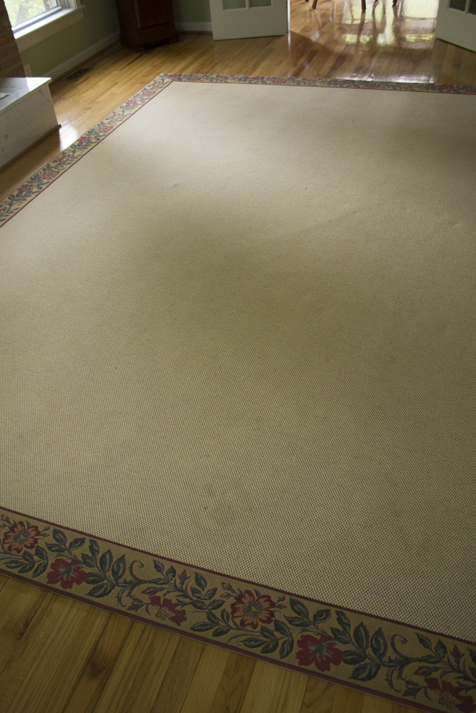 Area Rug With Embroiderd Floral Border