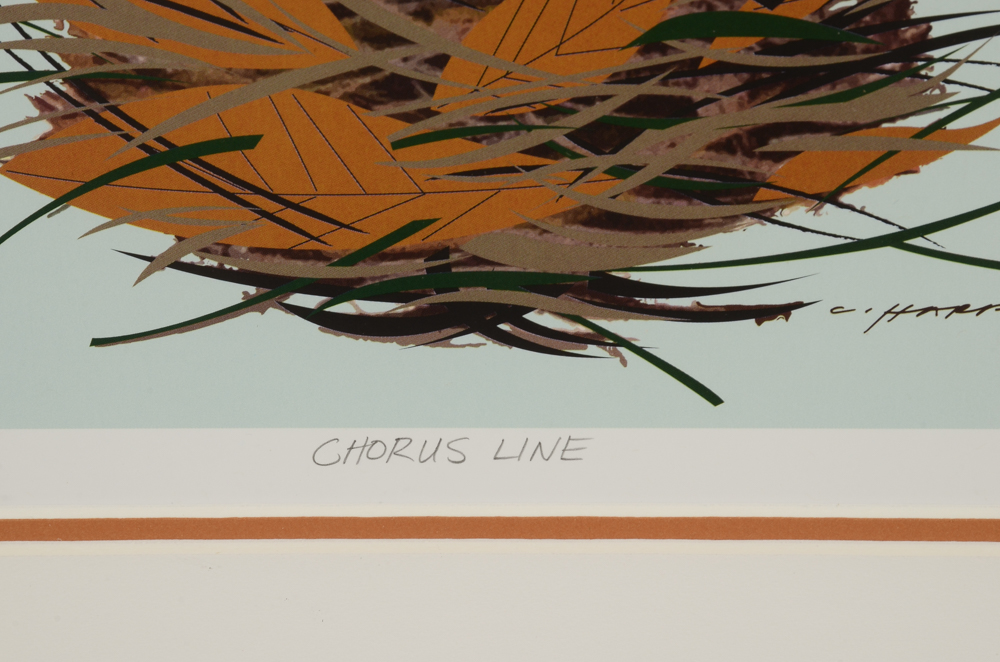 Offset Lithograph after Charley Harper "Chorus Line"