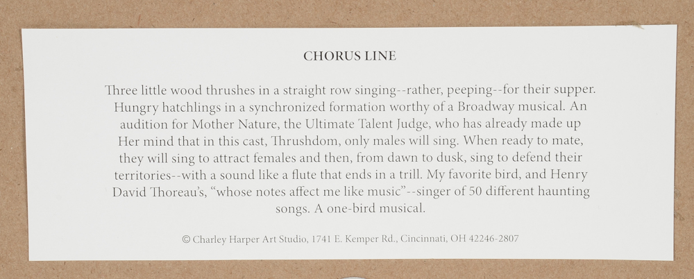 Offset Lithograph after Charley Harper "Chorus Line"