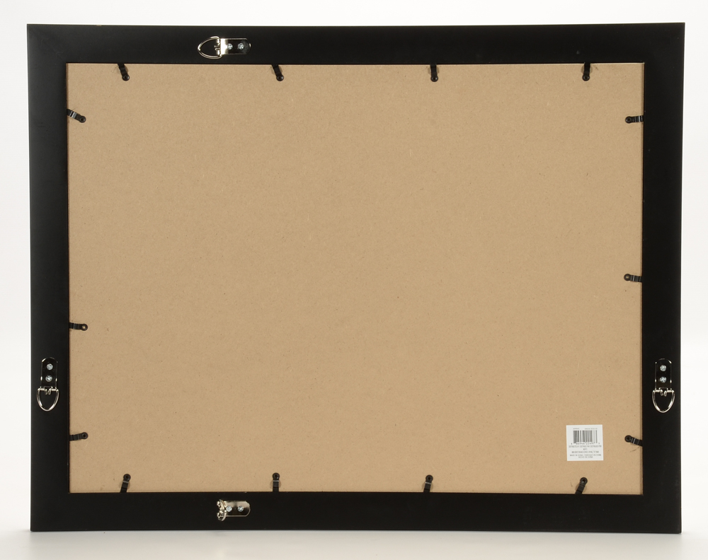 Shepard Fairey Signed 2010 Artist's Proof Serigraph "Parlor Pattern"