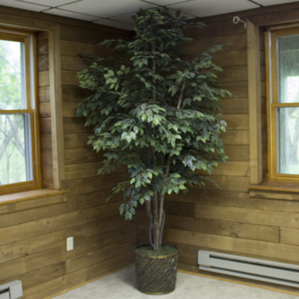 Artificial Silk Ficus Tree