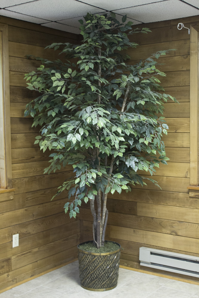 Artificial Silk Ficus Tree