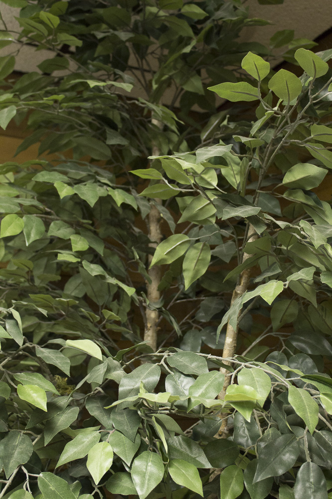 Artificial Silk Ficus Tree