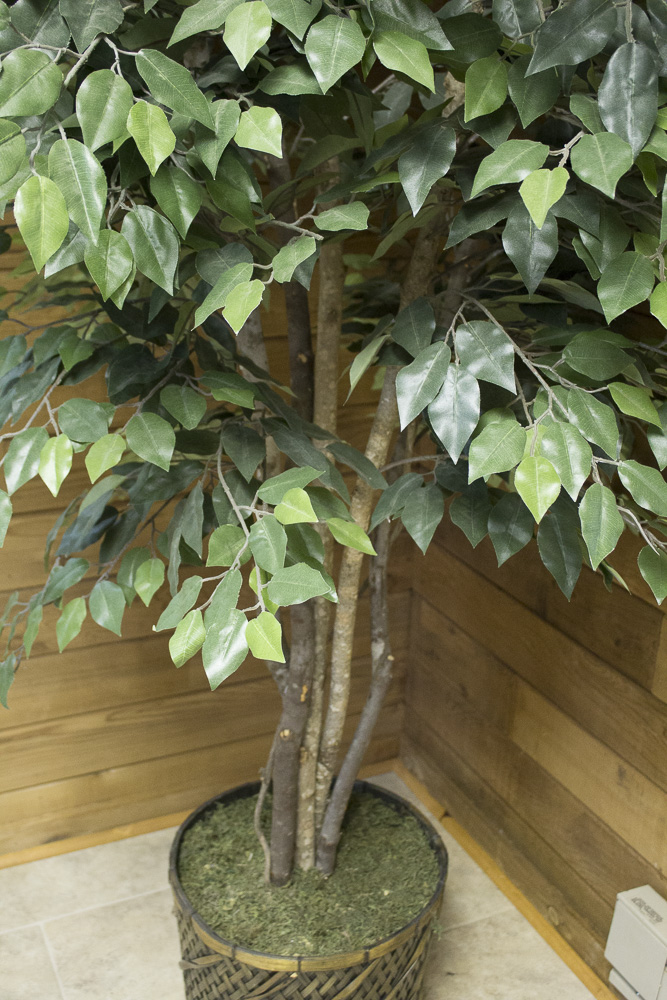 Artificial Silk Ficus Tree