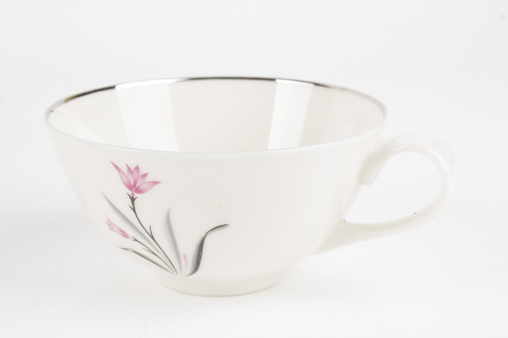 Syracuse "Alpine" China Set