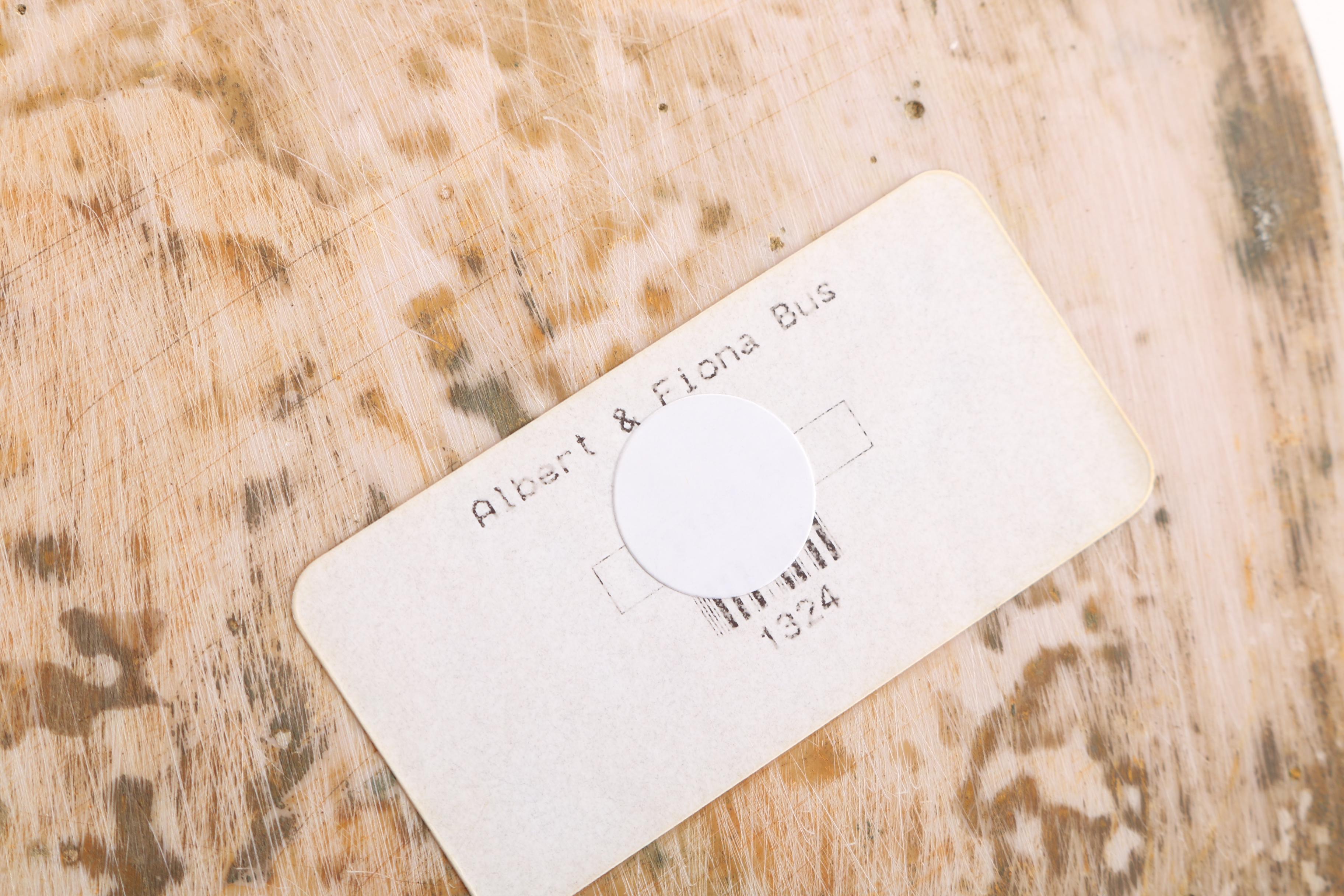 "Albert and Fiona" Resin Busts