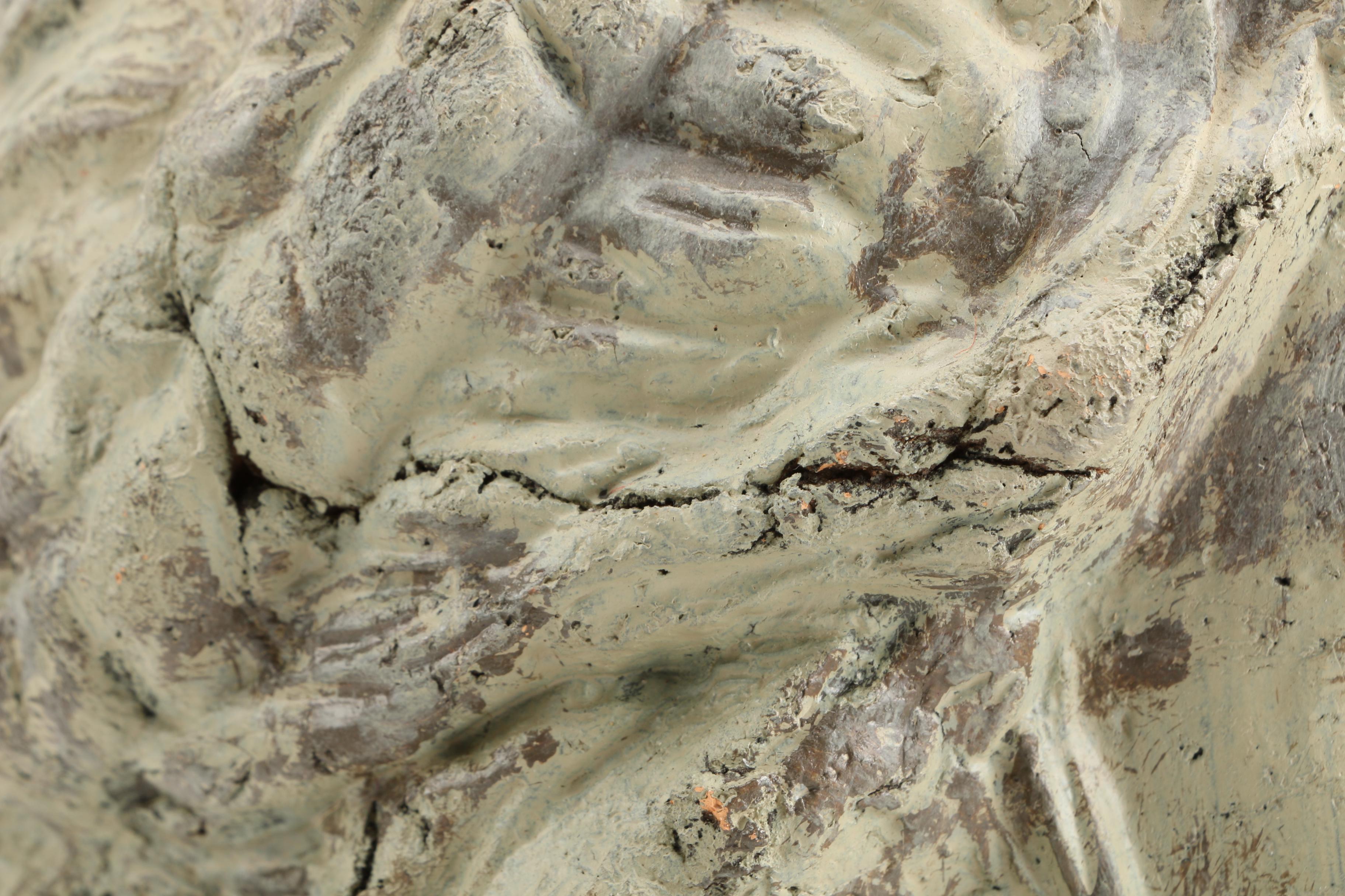 Bust of Woman in Plaster