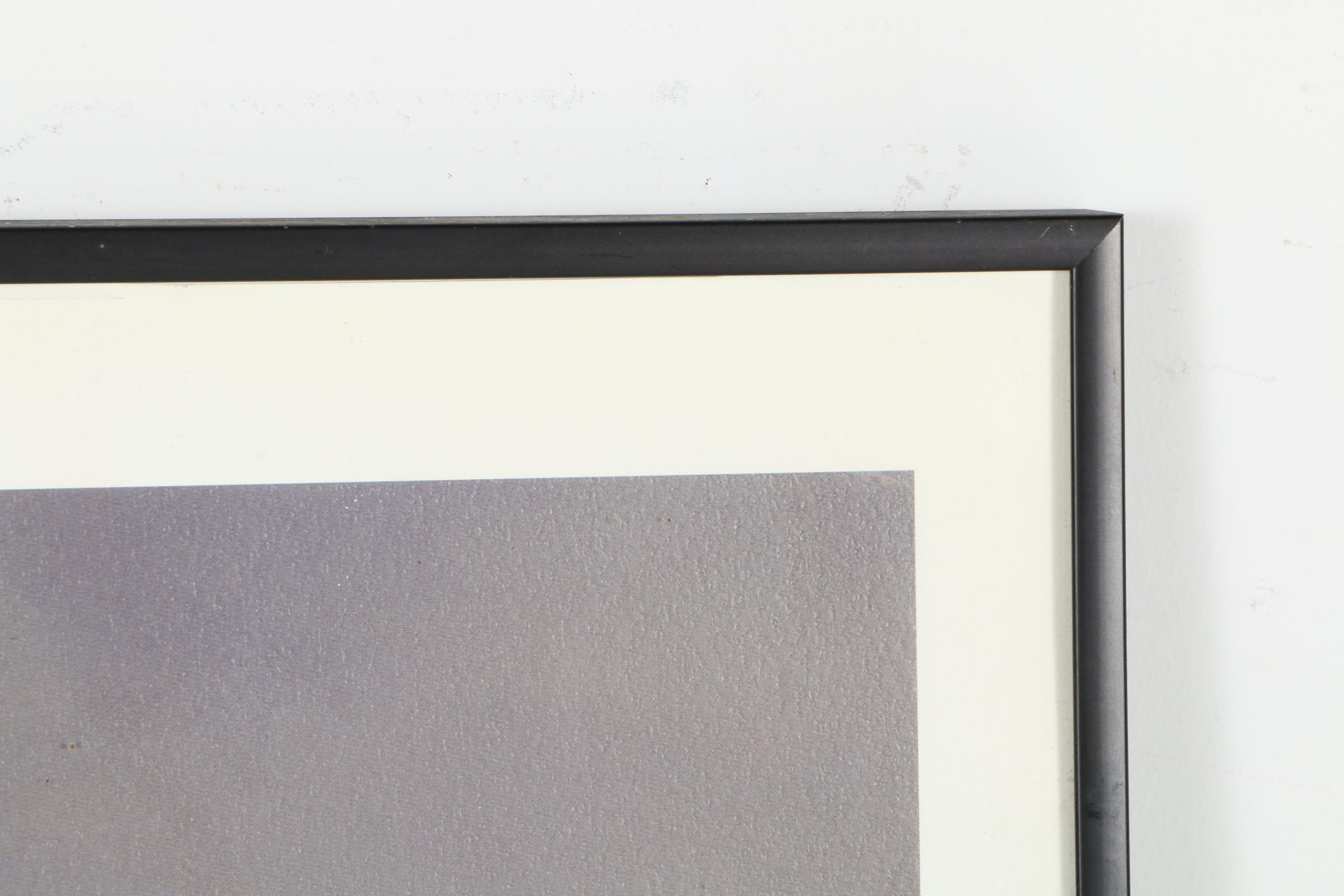 Dale Klee Offset Lithograph on Paper "Secret Victorias"