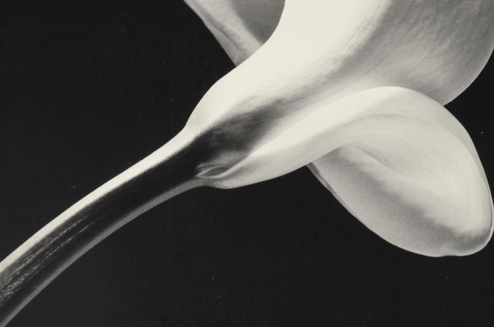 Original 1990 Robert Mapplethorpe Exhibition Poster for Cincinnati Contemporary Arts Center "The Perfect Moment"