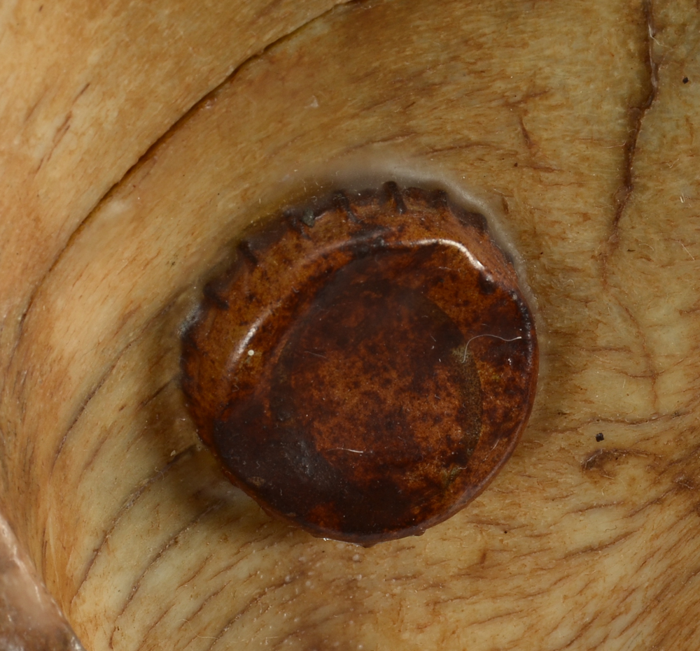 Anne Straus Original Mixed Media Artwork "Reindeer Spirit"