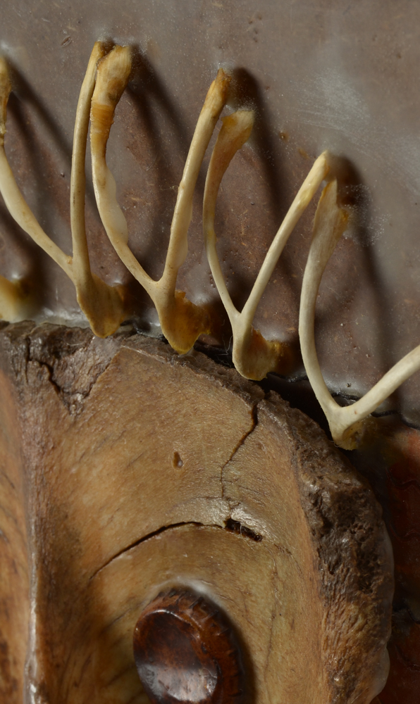 Anne Straus Original Mixed Media Artwork "Reindeer Spirit"