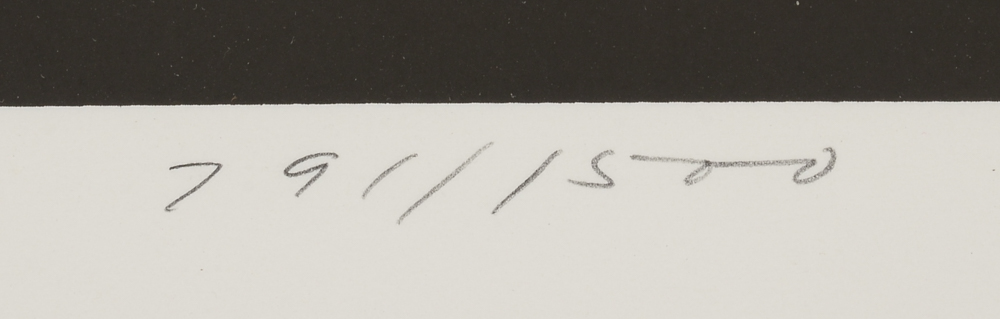 Charley Harper Signed 1981 Limited Edition Serigraph "Racc an' Ruin"