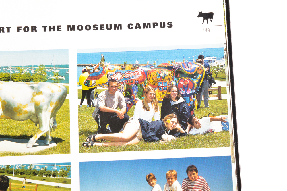 Life Sized Chicago 1999 "Cows on Parade"  named "Sacred Cow"