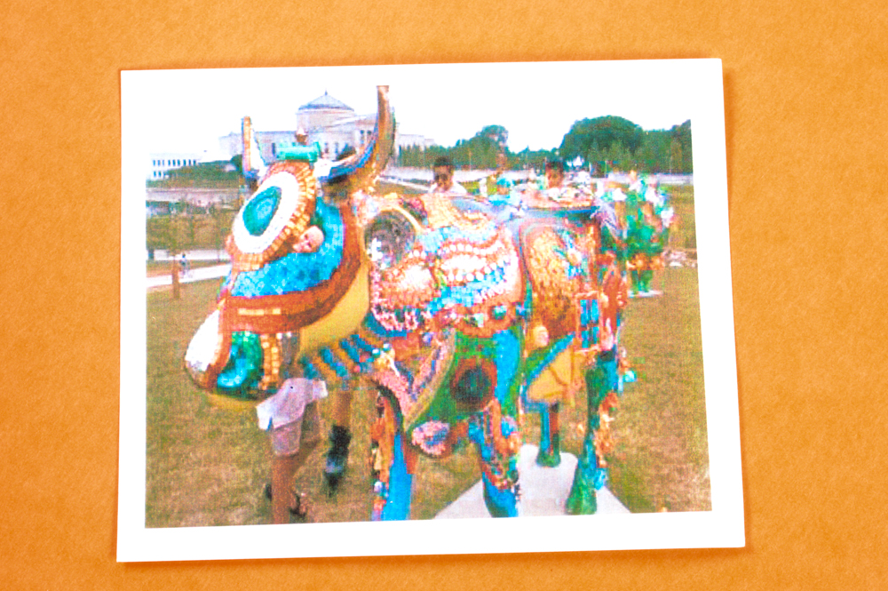 Life Sized Chicago 1999 "Cows on Parade"  named "Sacred Cow"