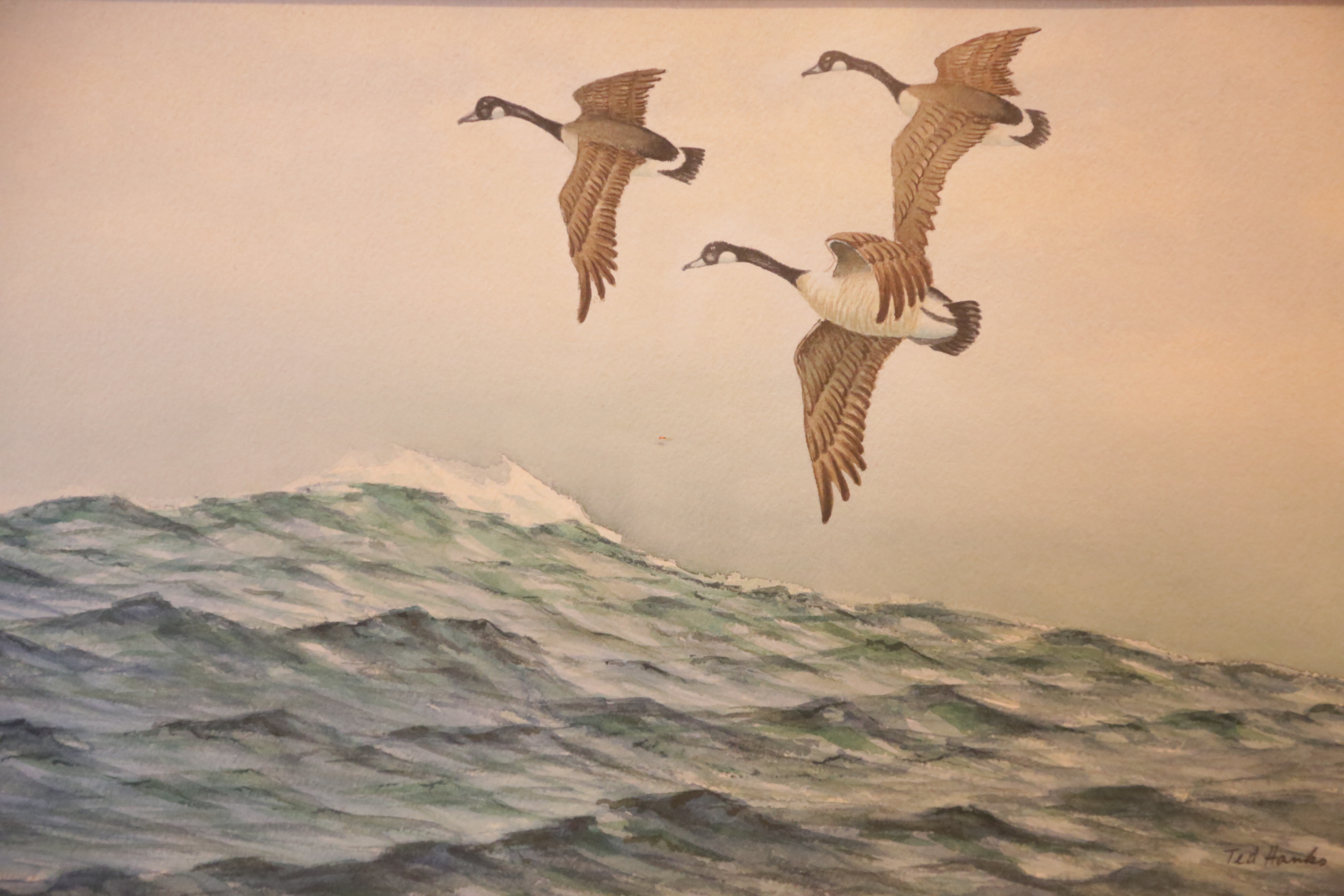 Ted Hanks Original Watercolor on Canvas of Geese in Flight