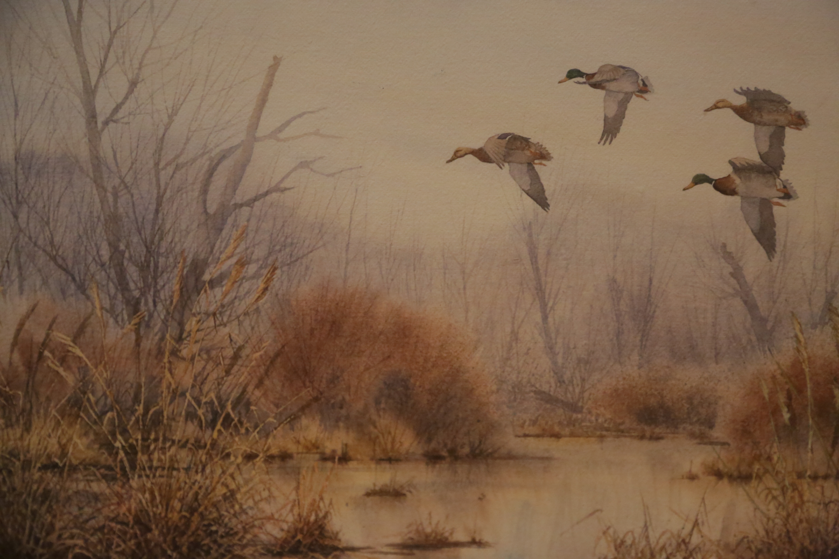 Herb Booth Original Watercolor on Paper of Flying Ducks
