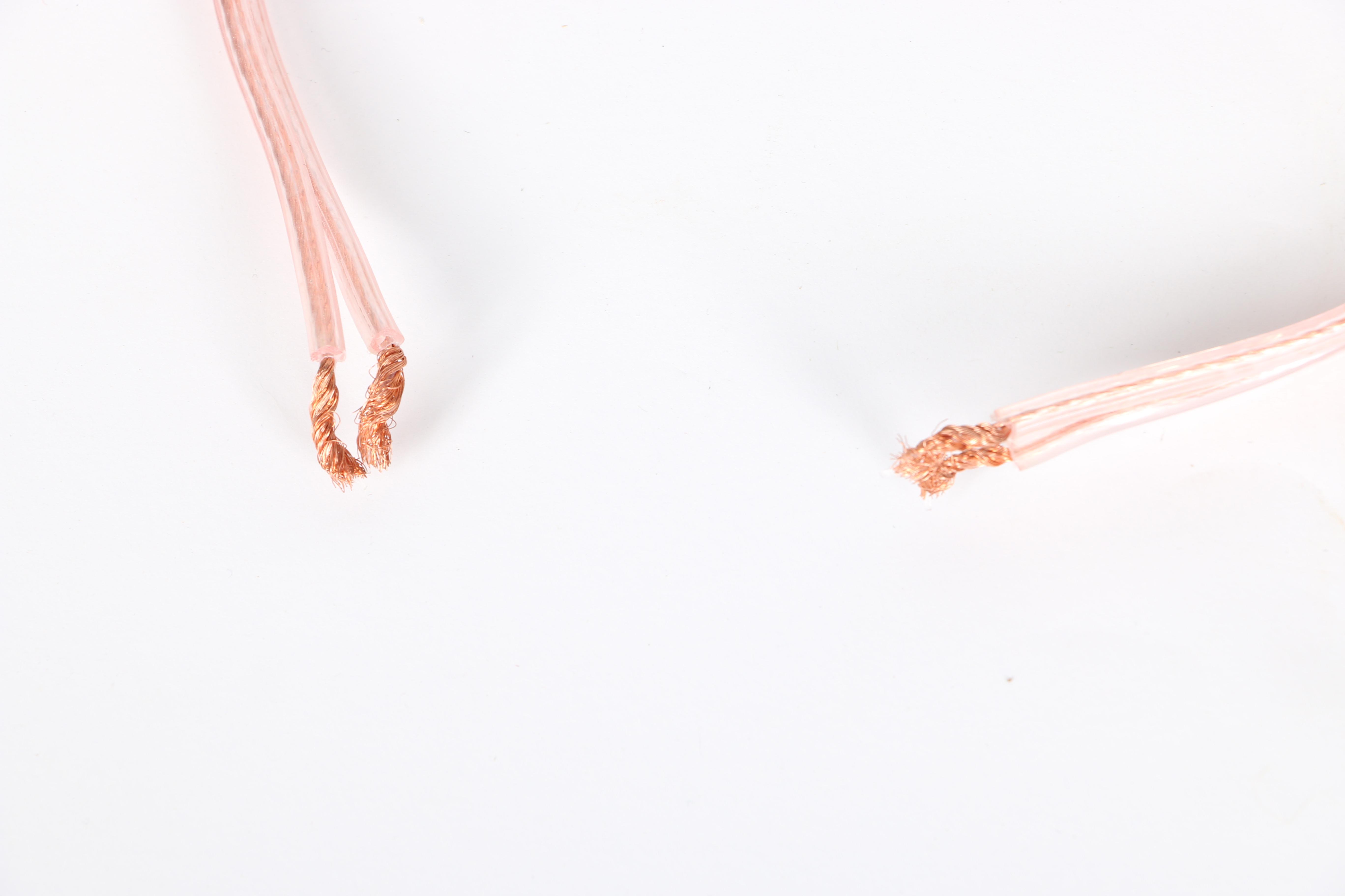 Bose Model 21 Speakers