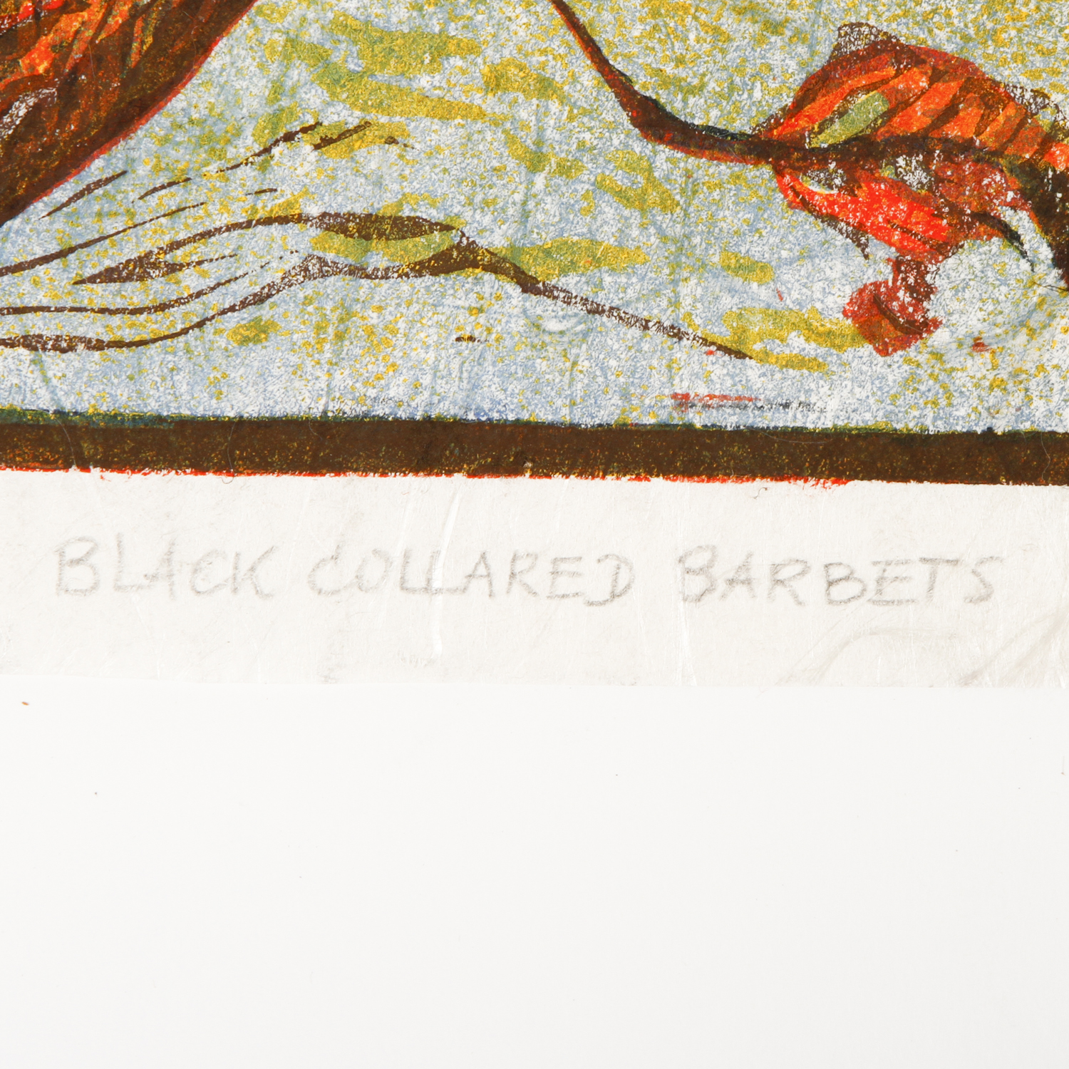 H. Francke Linocut on Paper "Black Collared Barbets"