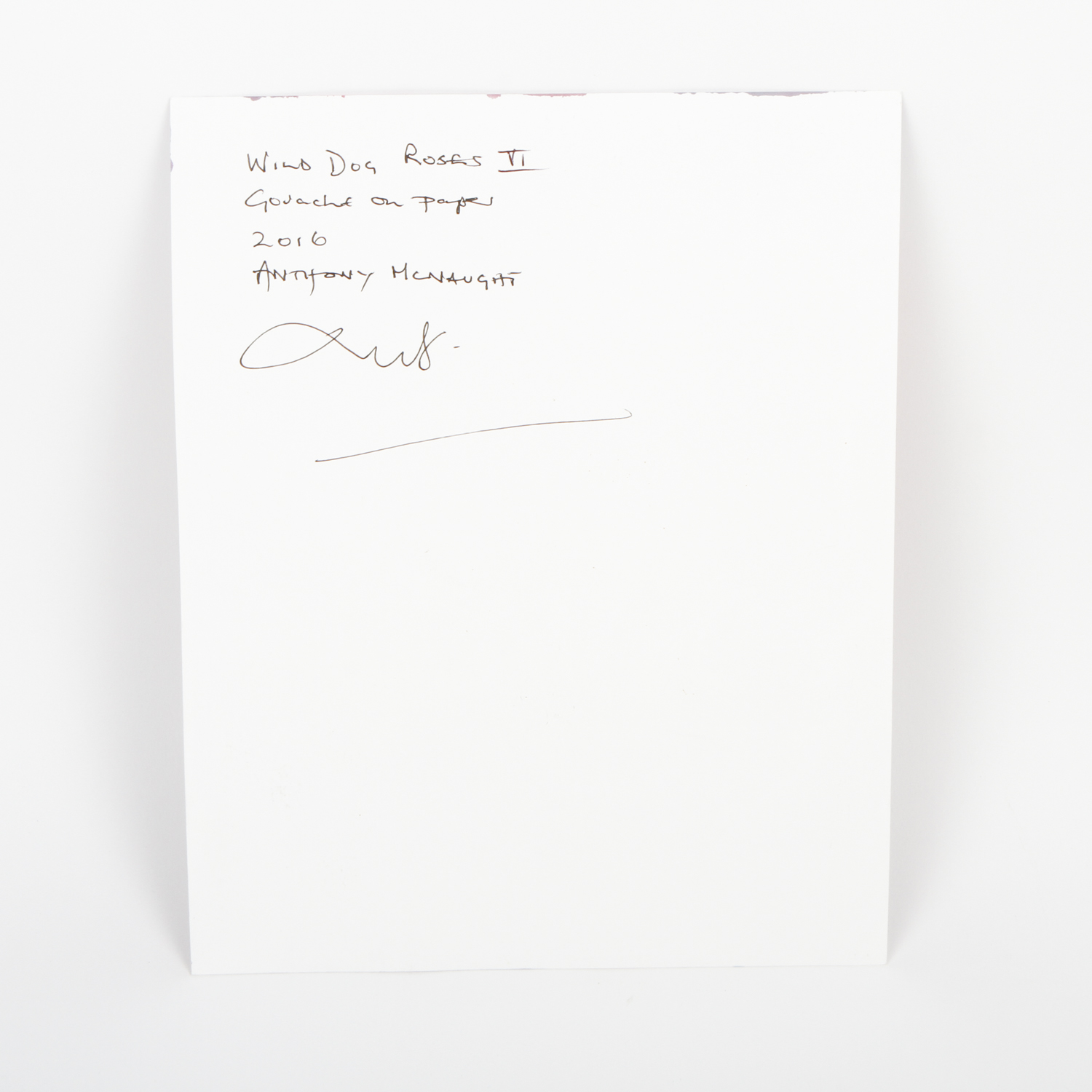 Anthony McNaught Gouache Painting on Paper "Wild Dog Roses VI"