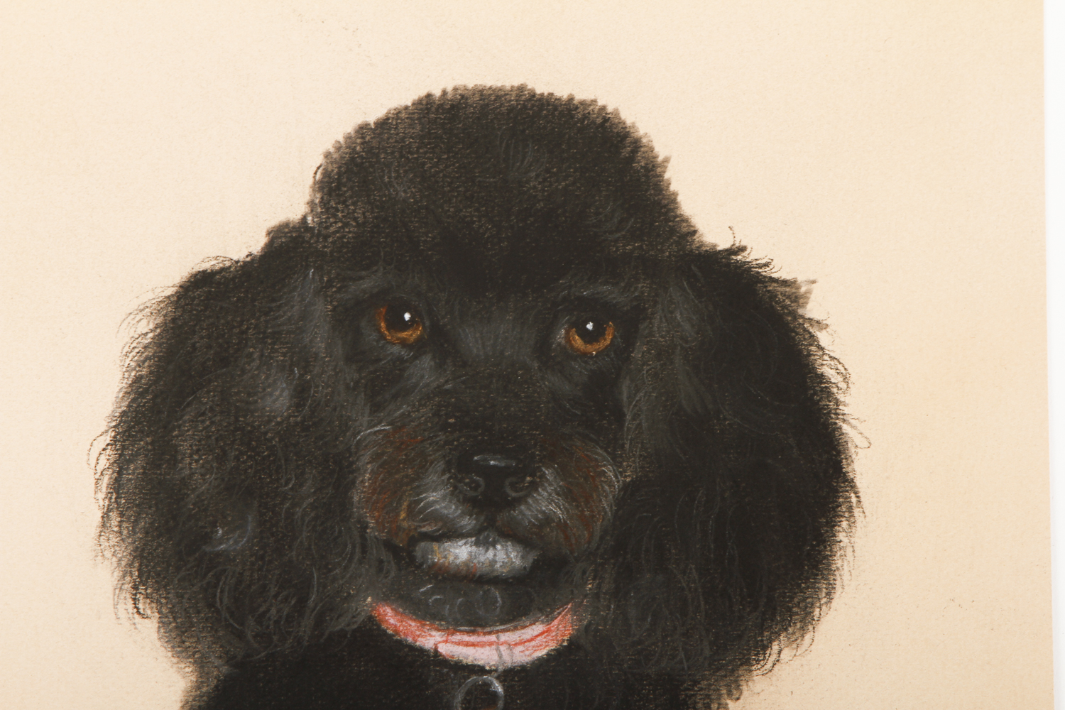 L.B. Campbell Chalk and Charcoal Drawing on Paper "Portrait of a Poodle in a Red Collar"