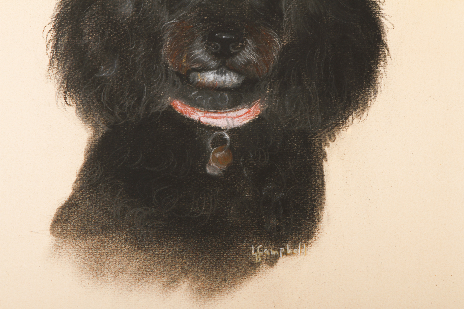 L.B. Campbell Chalk and Charcoal Drawing on Paper "Portrait of a Poodle in a Red Collar"