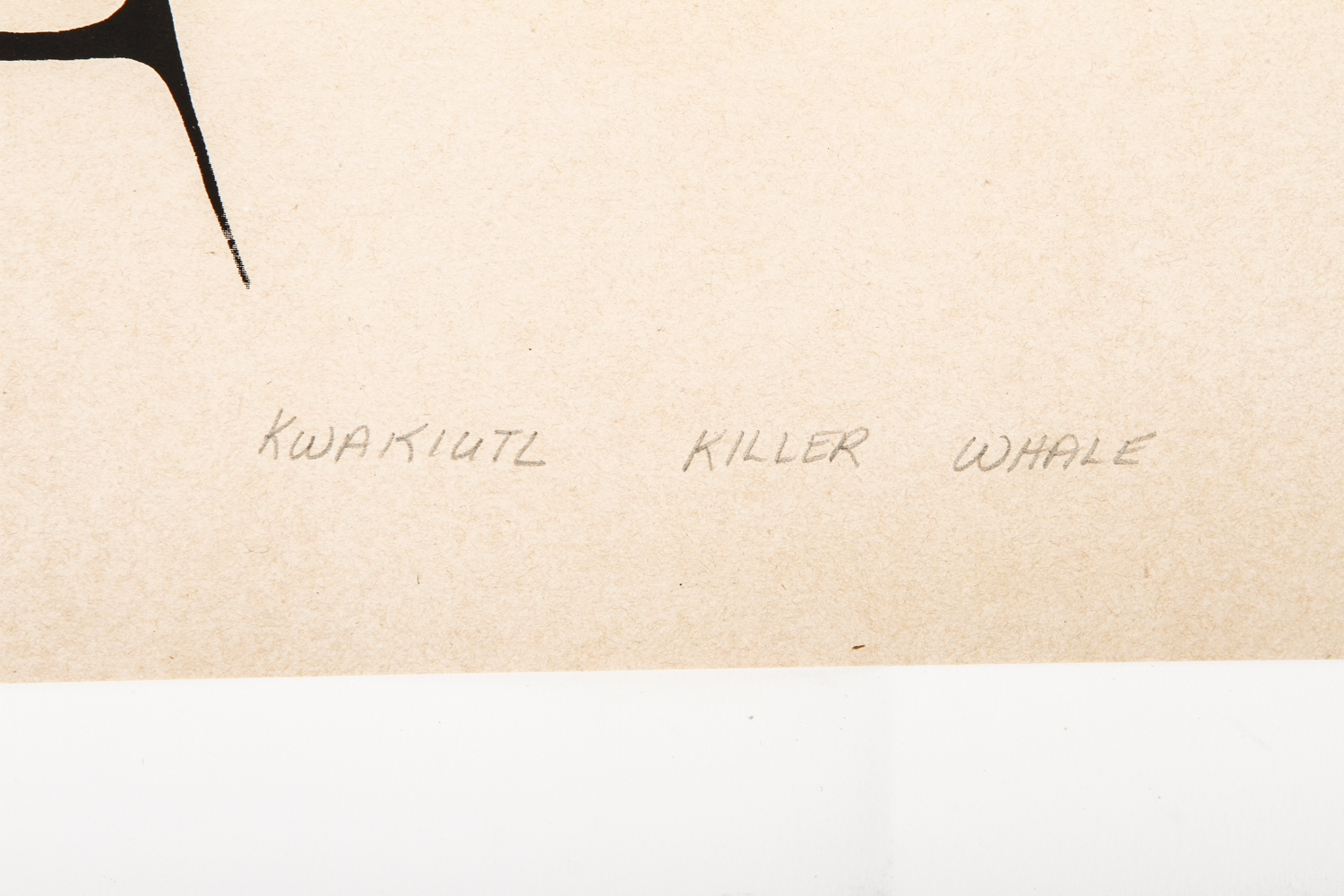 Richard D. Hunt Limited Edition Serigraph "Kwakiutl Killer Whale"