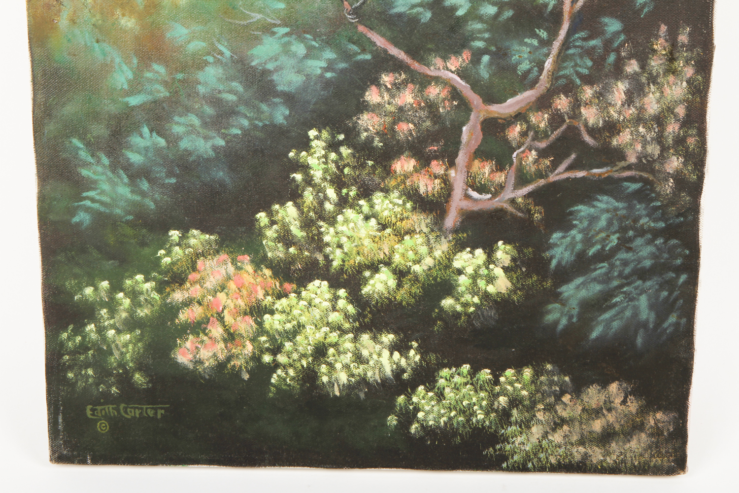 Edith Carter Acrylic Painting on Canvas "Rose Breasted Grosbeak"