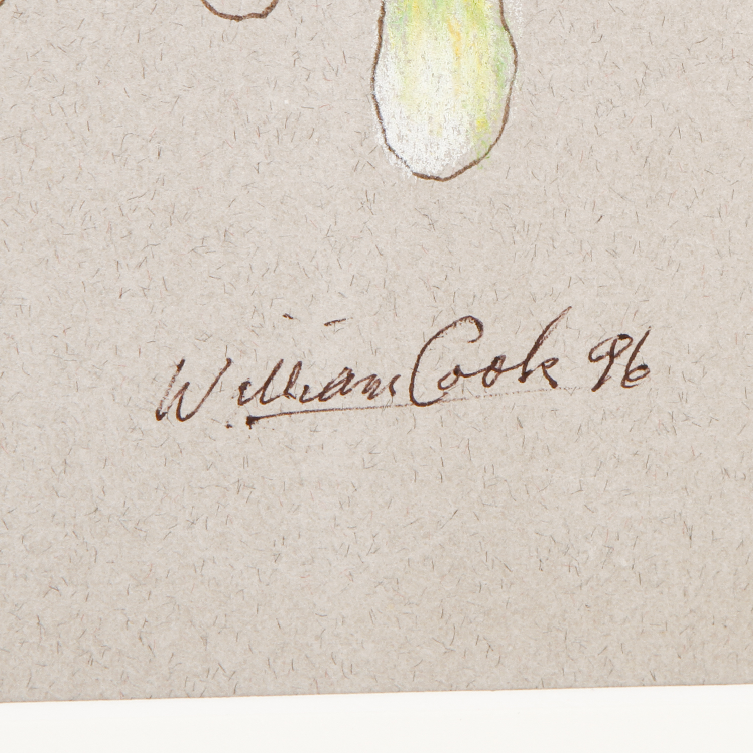 William Cook Pen, Ink, and Color Pencil Drawing on Paper