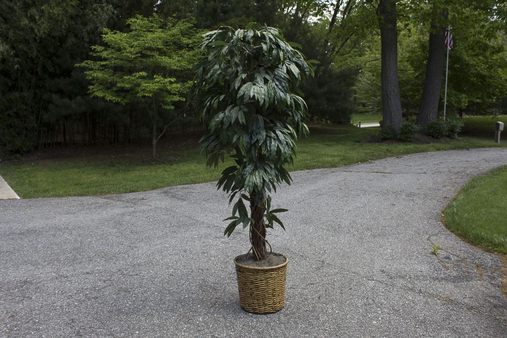 Artificial Silk Ficus Tree