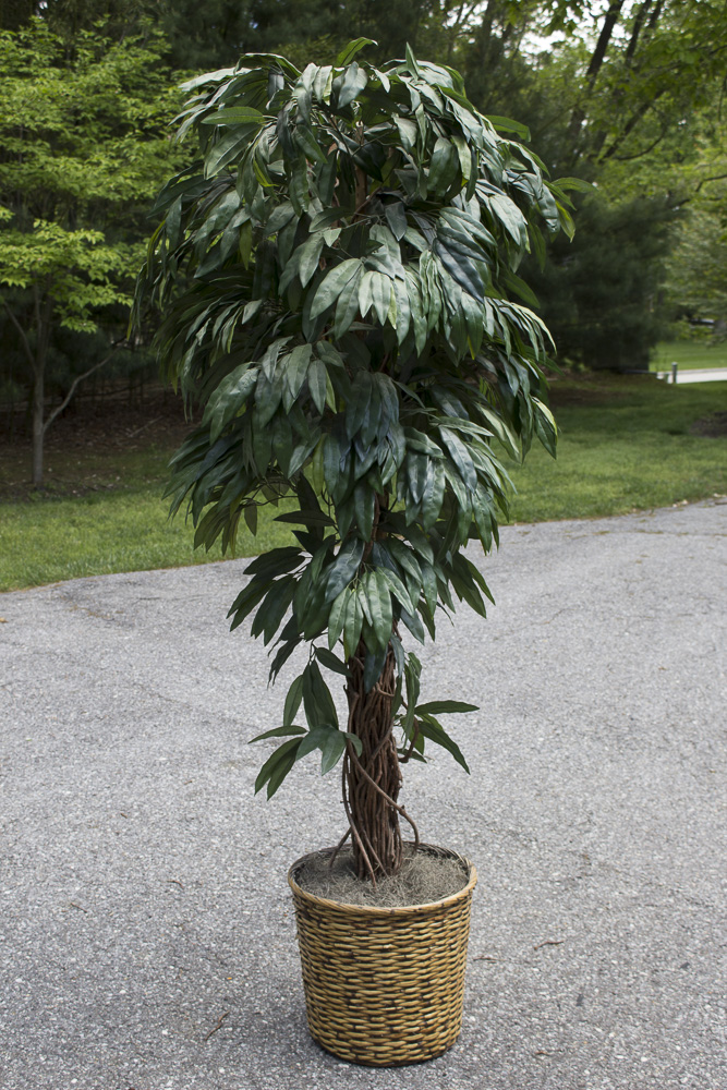 Artificial Silk Ficus Tree