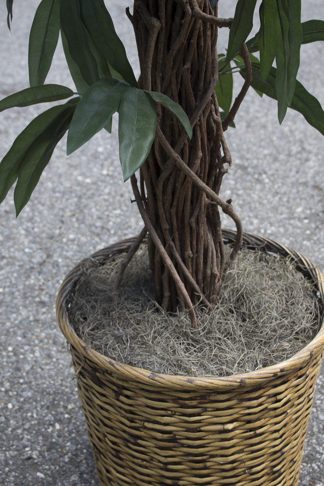 Artificial Silk Ficus Tree