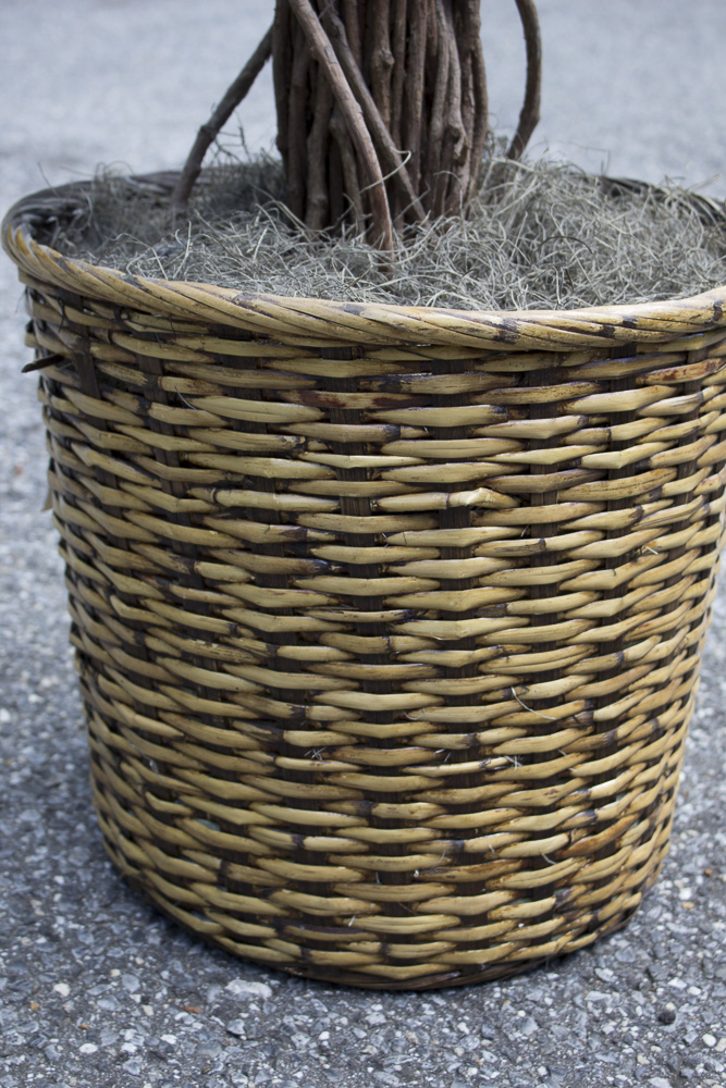 Artificial Silk Ficus Tree