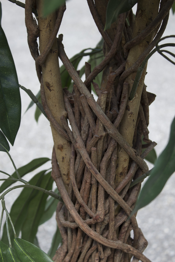 Artificial Silk Ficus Tree