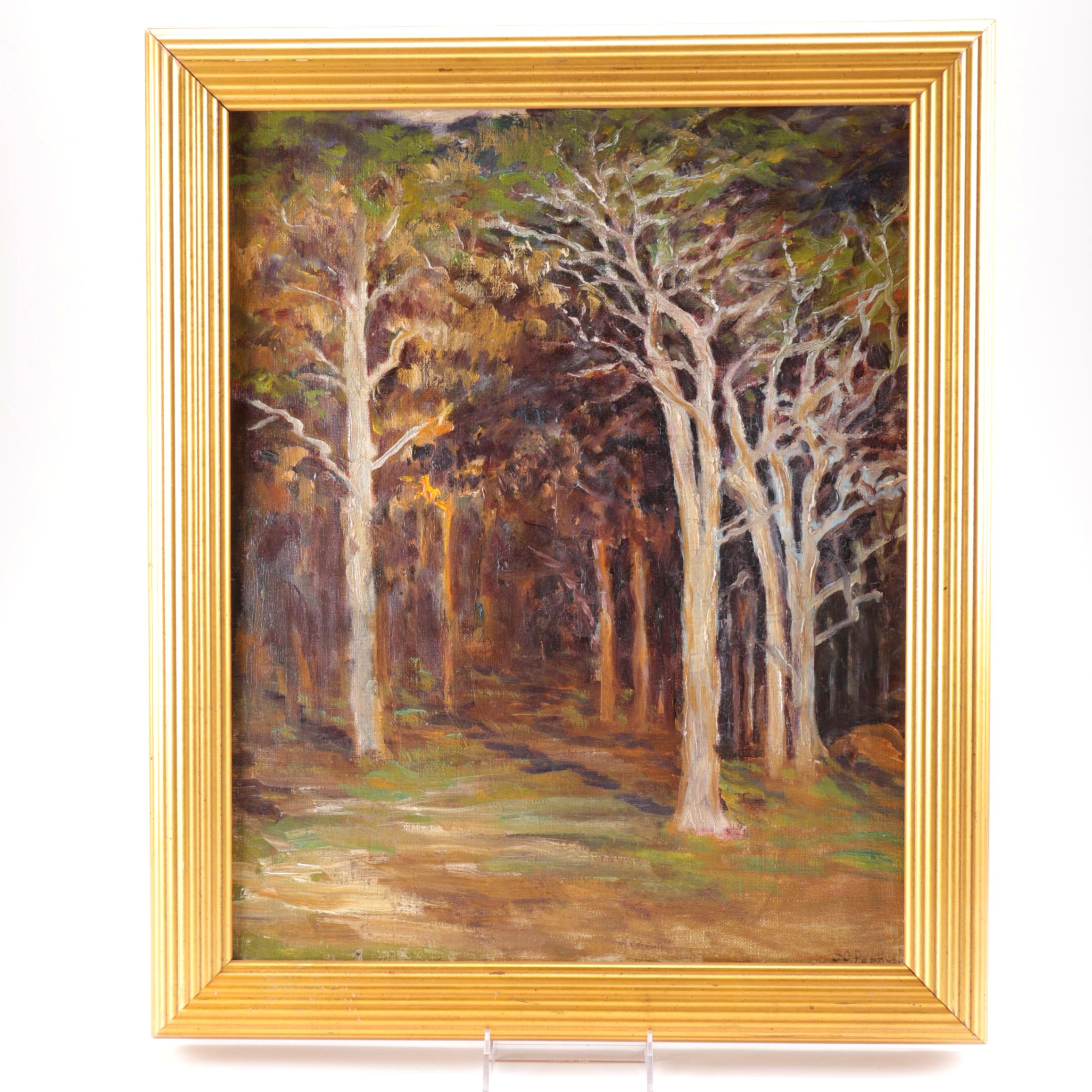 Sarah C. Parke Oil on Canvas "Edge Of Woods"