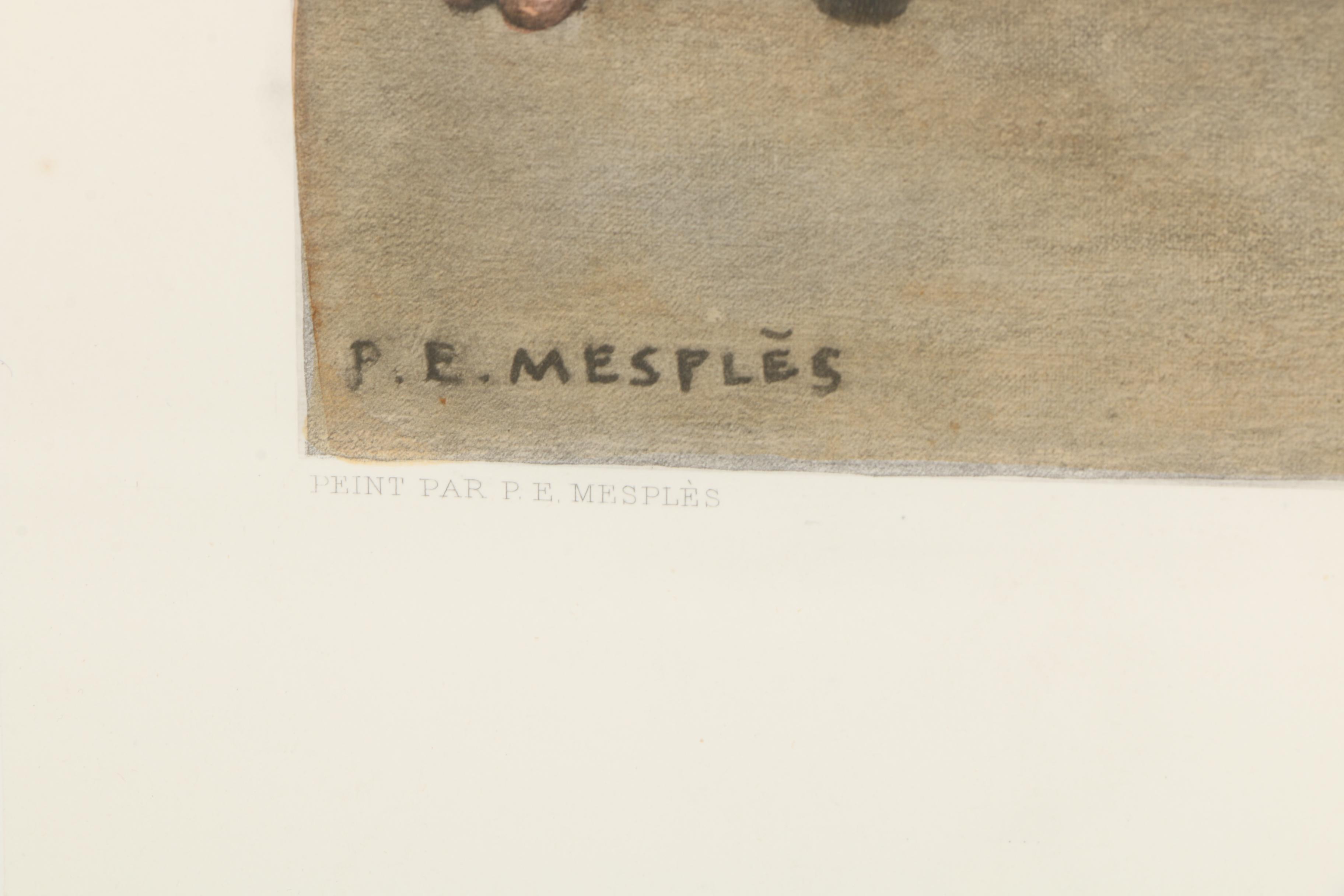 After Paul Eugene Mesples Lithograph "Les Joies du Foyer"