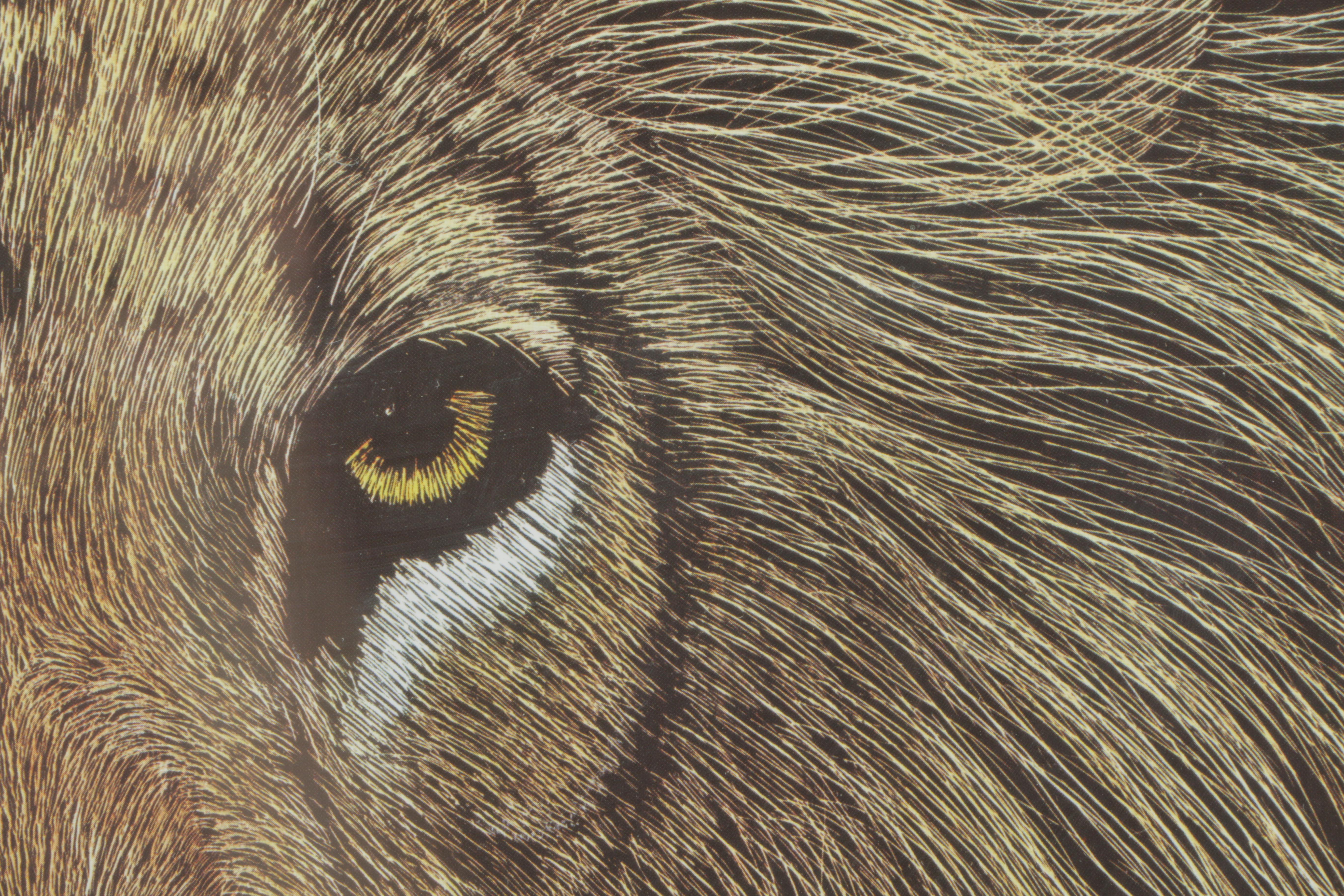 After Marjorie Brice Offset Lithograph of a Lion